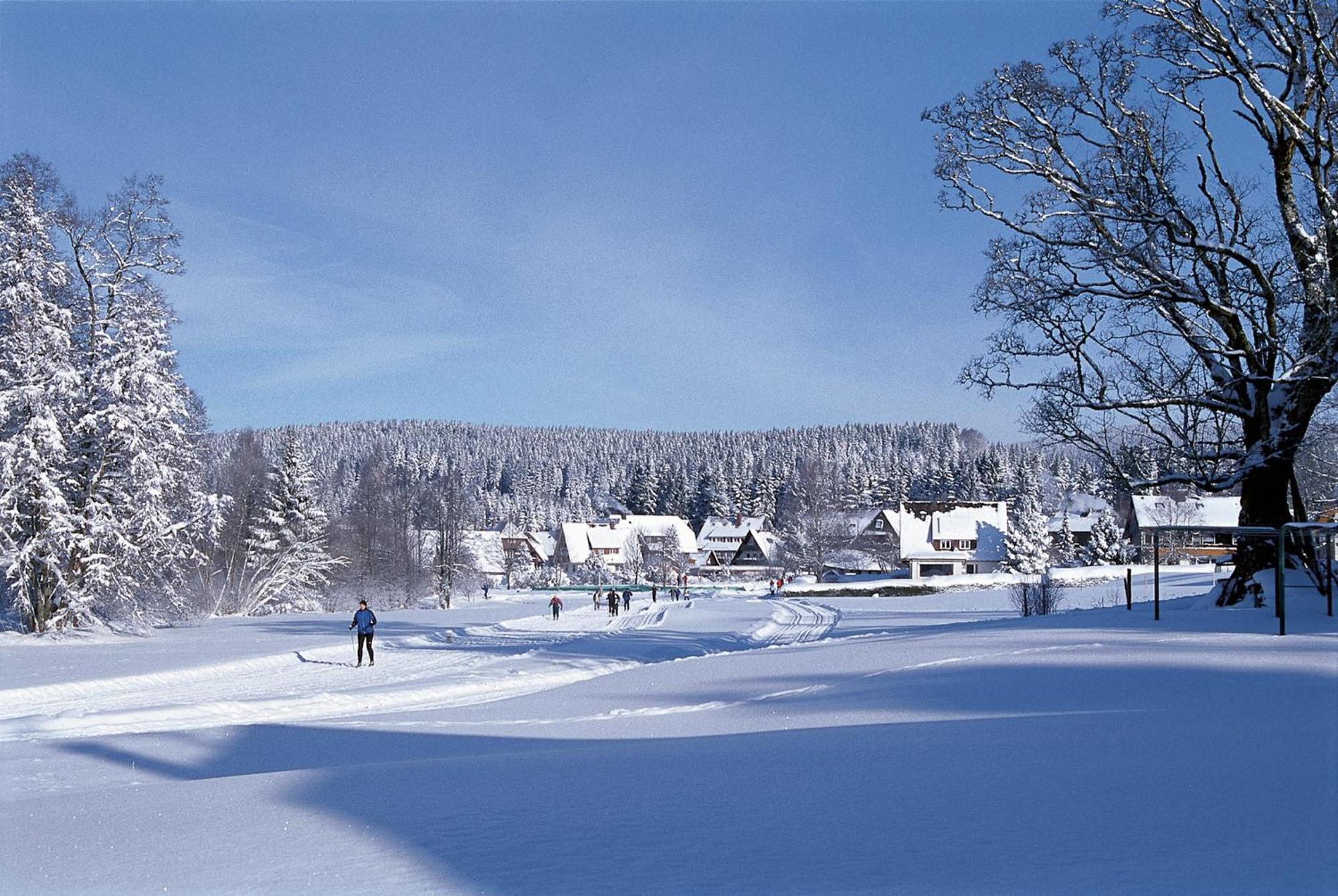 Drei Tannen - Wohnung 04 - Apartmenthaus, Titisee, Nahe Badeparadies Exteriér fotografie