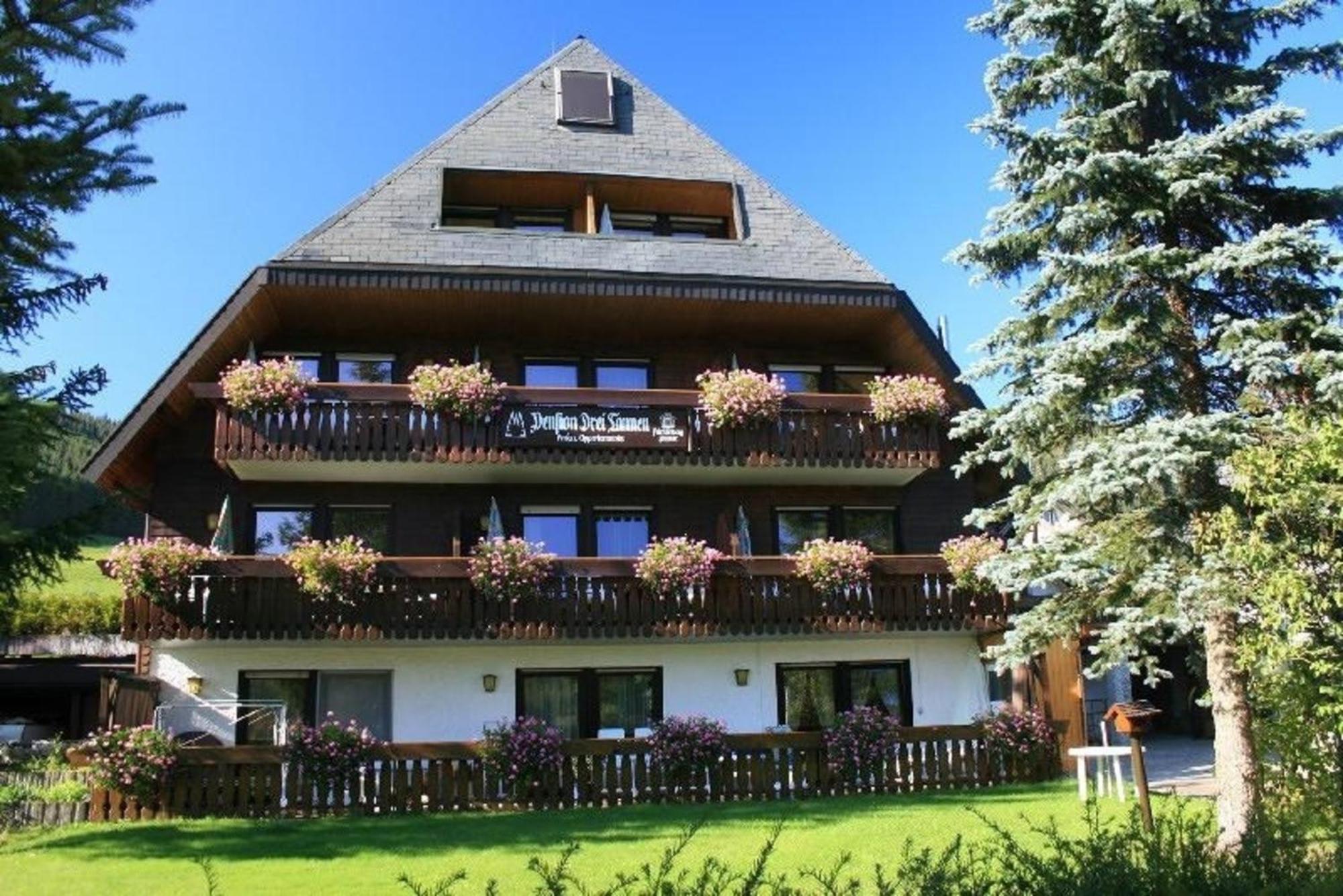 Drei Tannen - Wohnung 04 - Apartmenthaus, Titisee, Nahe Badeparadies Exteriér fotografie